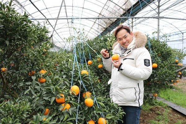 ▲濟州島採橘子。（圖／太咪提供）