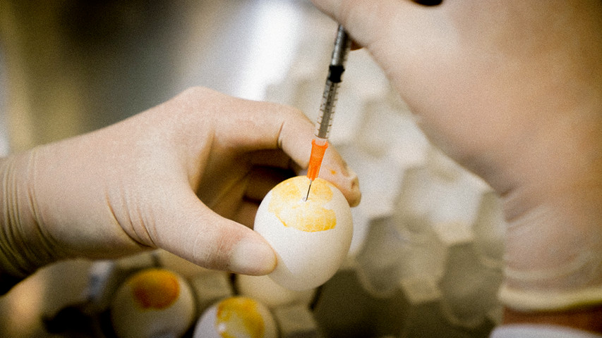 ▲▼中研院前院長翁啟惠和團隊利用「雞蛋」製造出可抗異株流感病毒感染的單醣流感疫苗。（圖／中央研究院提供）