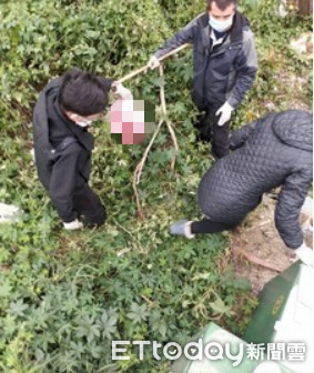 ▲警方在草叢中起出包裹男嬰的塑膠袋。（圖／記者黃孟珍翻攝）