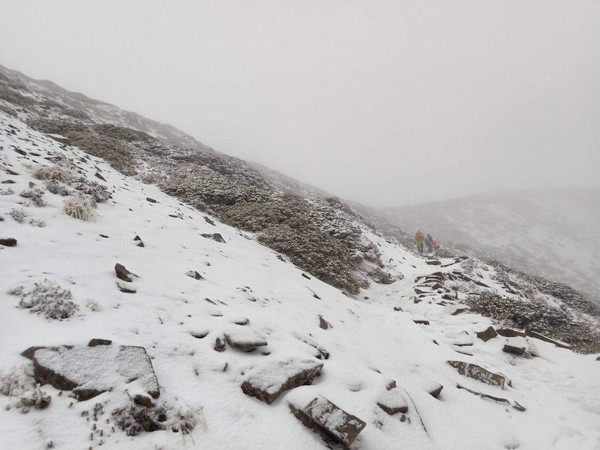 ▲▼雪山2月24日下雪景況。（圖／山友全蔣清授權提供）