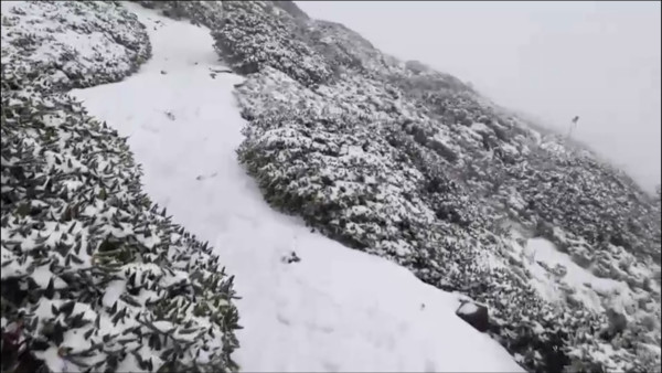 ▲▼雪山2月24日下雪景況。（圖／山友全蔣清授權提供）