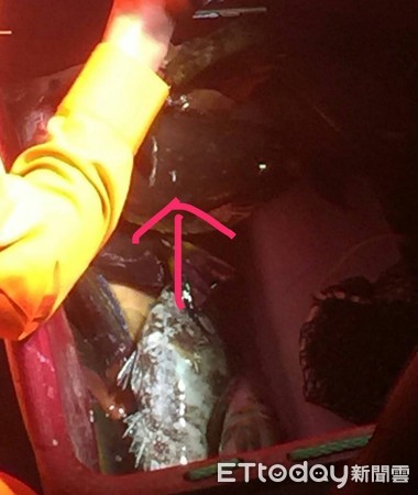 ▲▼利用暗夜在保育區內打魚　海巡人員挺進逮個正著               。（圖／記者陳崑福翻攝）