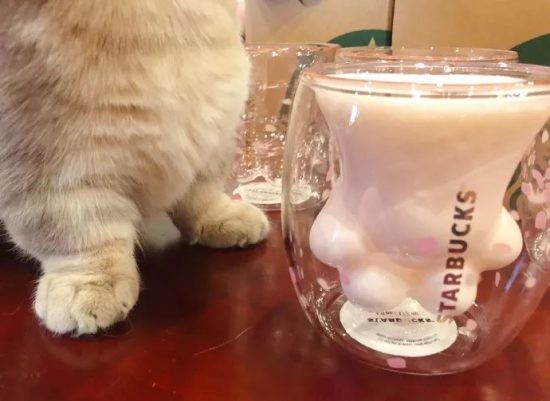 ▲星巴克「貓爪杯」開賣2分鐘就被民眾掃光。（圖／翻攝自微博）
