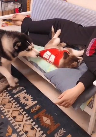 月貴妃將答應甩下，快步爬上龍床。（圖／翻攝自「爆料公社」）