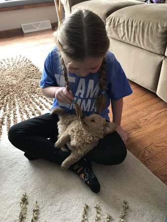 7歲女孩得腦瘤，世界各地寄狗狗照幫他加油。（圖／翻攝自Caring birdge／Tammy Mertens）