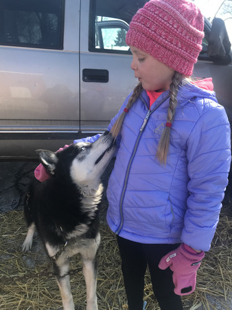 7歲女孩得腦瘤，世界各地寄狗狗照幫他加油。（圖／翻攝自Caring birdge／Tammy Mertens）