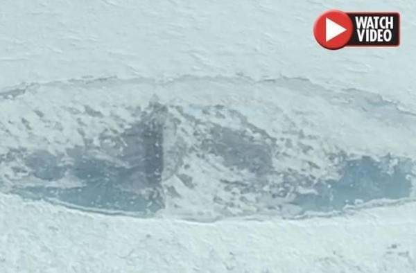 ▲Google Earth在南極融冰下發現納粹潛艇            。（圖／攝攝自網路)
