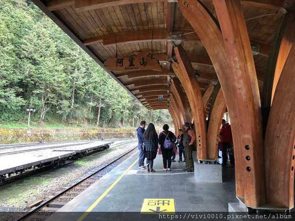 ▲▼阿里山小火車。（圖／圓圓提供）