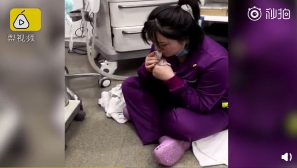 ▲23歲女醫師為小貓人工呼吸，救回一條命。（圖／翻攝自梨視頻）
