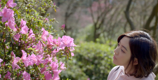 ▲▼黃瀞瑩首次出演微電影，幫杜鵑花季宣傳。（圖／截自影片）