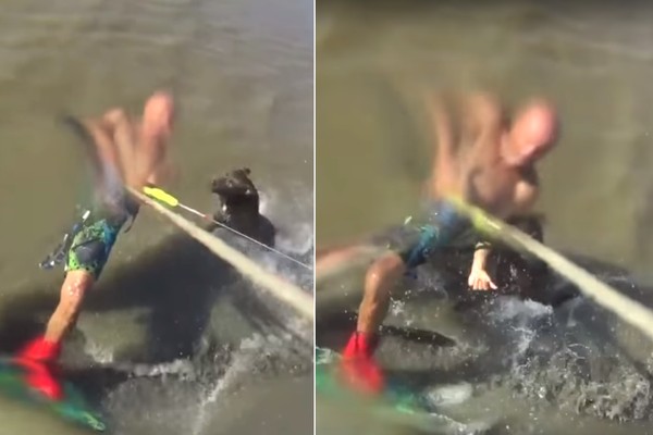 ▲▼阿根廷男衝浪被比特犬咬傷。（圖／翻攝自YouTube）