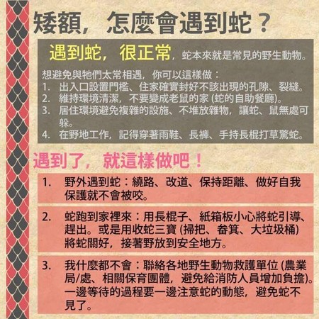 ▲遇到蛇該怎麼辦。（圖／野生動物追思會授權提供，請勿隨意翻拍，以免侵權）