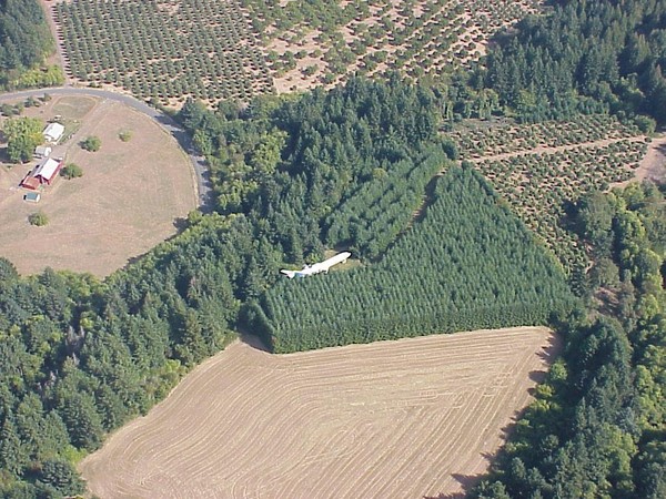 ▲▼波音727噴射客機一住20年！　森林驚見「超狂爺爺」的巨無霸豪宅。（圖／翻攝airplanehome網站）