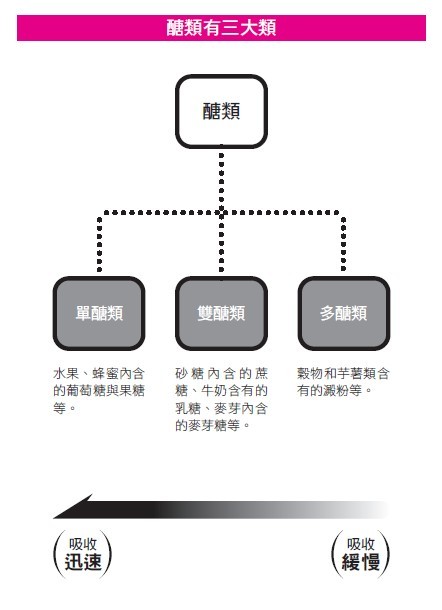 ▲《神奇解救脂肪肝：巧克力、酒精、微減醣，揮別三高，代謝症候群out》。（圖／今周刊提供）