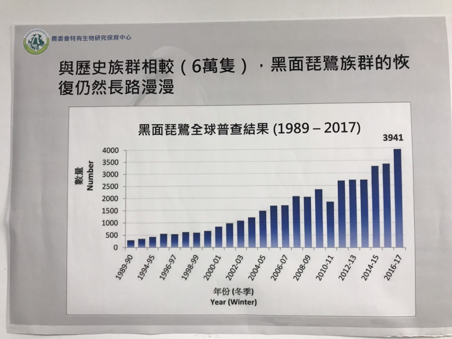 ▲▼黑面琵鷺完成基因組草圖。（圖／記者許展溢攝）