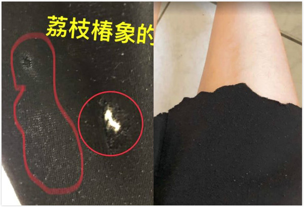 ▲上班一半！荔枝椿象「黏褲狂爬」她崩潰甩　一陣臭氣撲鼻...尷尬變七分褲。（圖／翻攝自爆怨公社）