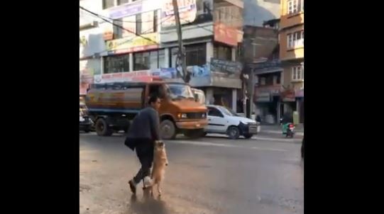 ▲▼小狗和主人手牽手過馬路             。（圖／翻攝自twitter／@ NatBCo）