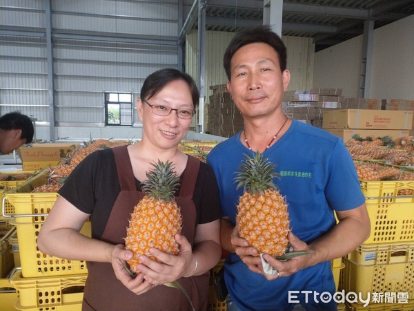 ▲▼  巧克力鳳梨乾吃過嗎？　「自然果鋪」告訴您！           。（圖／記者陳崑福翻攝）