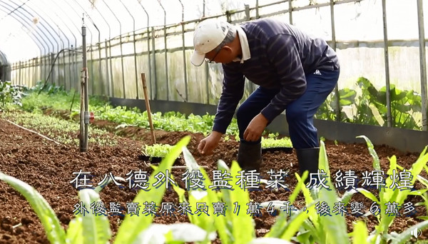 ▲頂新集團董事長魏應充分享種菜經驗。（圖／翻攝自魏應充臉書）