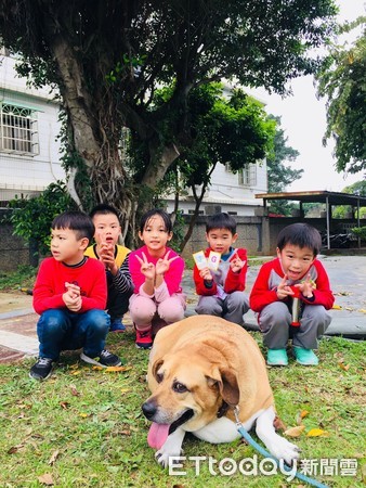 校犬腫瘤開刀 小朋友每天念 小白襪何時回來 盛大迎接牠返校 Ettoday寵物雲 Ettoday新聞雲