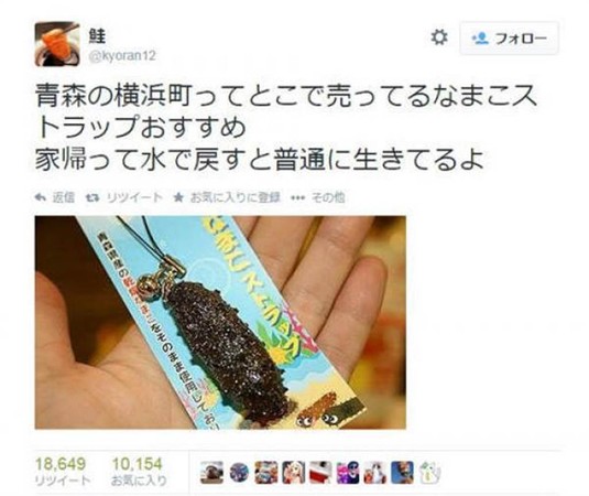 ▲▼網路傳言日本青森海參吊飾泡水可食，引起一陣熱議。（圖／翻攝自推特／@kyoran12）
