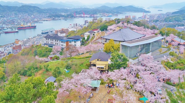 ▲▼日本賞櫻。（圖／汎佳旅行社提供）