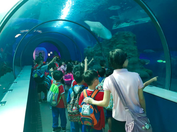 ▲澎湖水族館 Penghu aquarium。（圖／取自《澎湖水族館 Penghu aquarium》臉書專頁。）