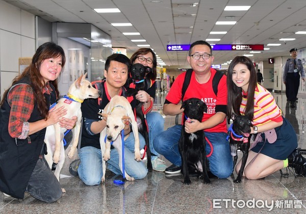 祈錦鈅擔任護犬大使。（圖／台灣動物緊急救援小組提供）