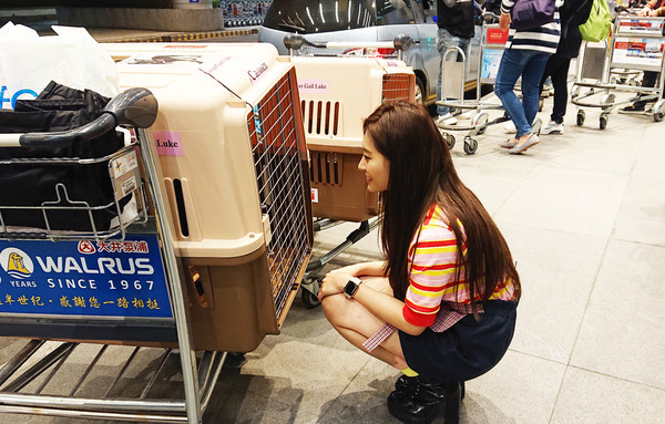 ▲▼祈錦鈅。（圖／Webtvasia Taiwan&nbsp;提供）