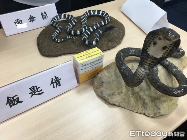 台灣六大毒蛇。（圖／記者嚴云岑攝）