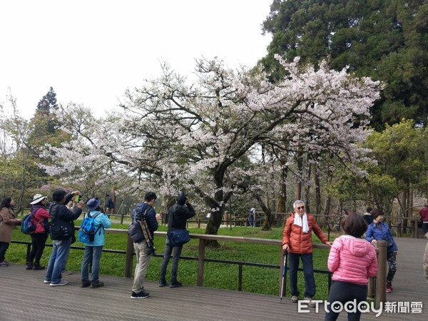 ▲▼阿里山賓館。（圖／記者翁伊森翻攝，下同）