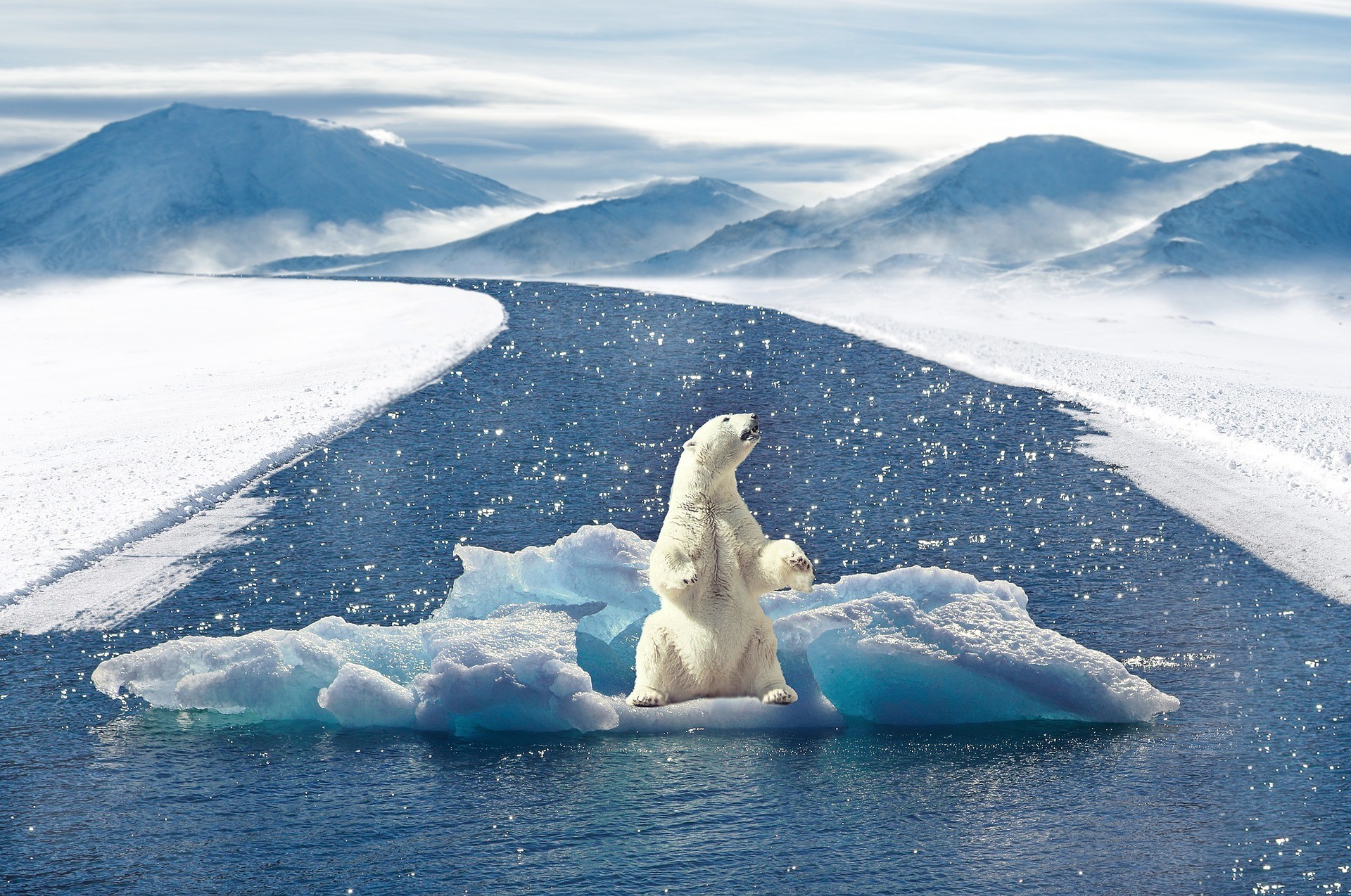 ▲▼全球暖化造成冰層融化，影響北極熊的生態環境。（圖／Pixabay）
