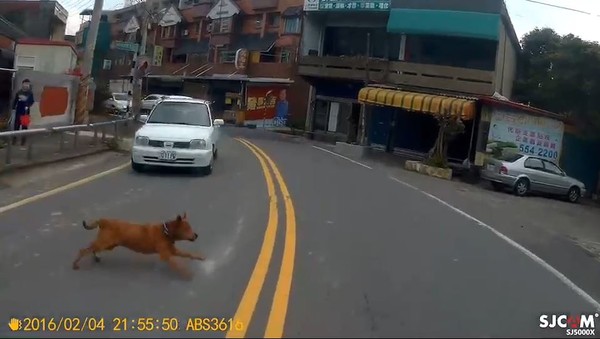 ▲路邊小黃衝出害摔車　行車紀錄器錄下混亂3秒畫面。（圖／記者陳凱力翻攝）