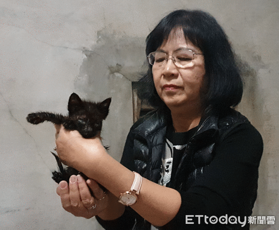 小貓遭棄廚餘桶。（圖／台灣動物緊急救援小組提供）