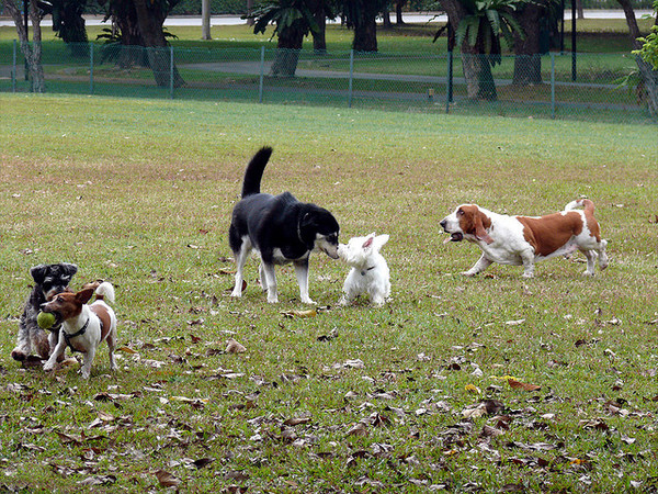 ▲▼。（圖／毛起來文章授權配圖）