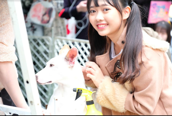 ▲▼AKB48 Team TP 關懷流浪動物             。（圖／好言娛樂）