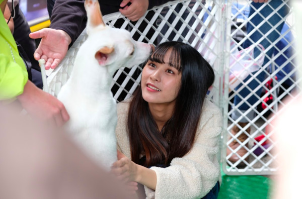 ▲▼AKB48 Team TP 關懷流浪動物             。（圖／好言娛樂）