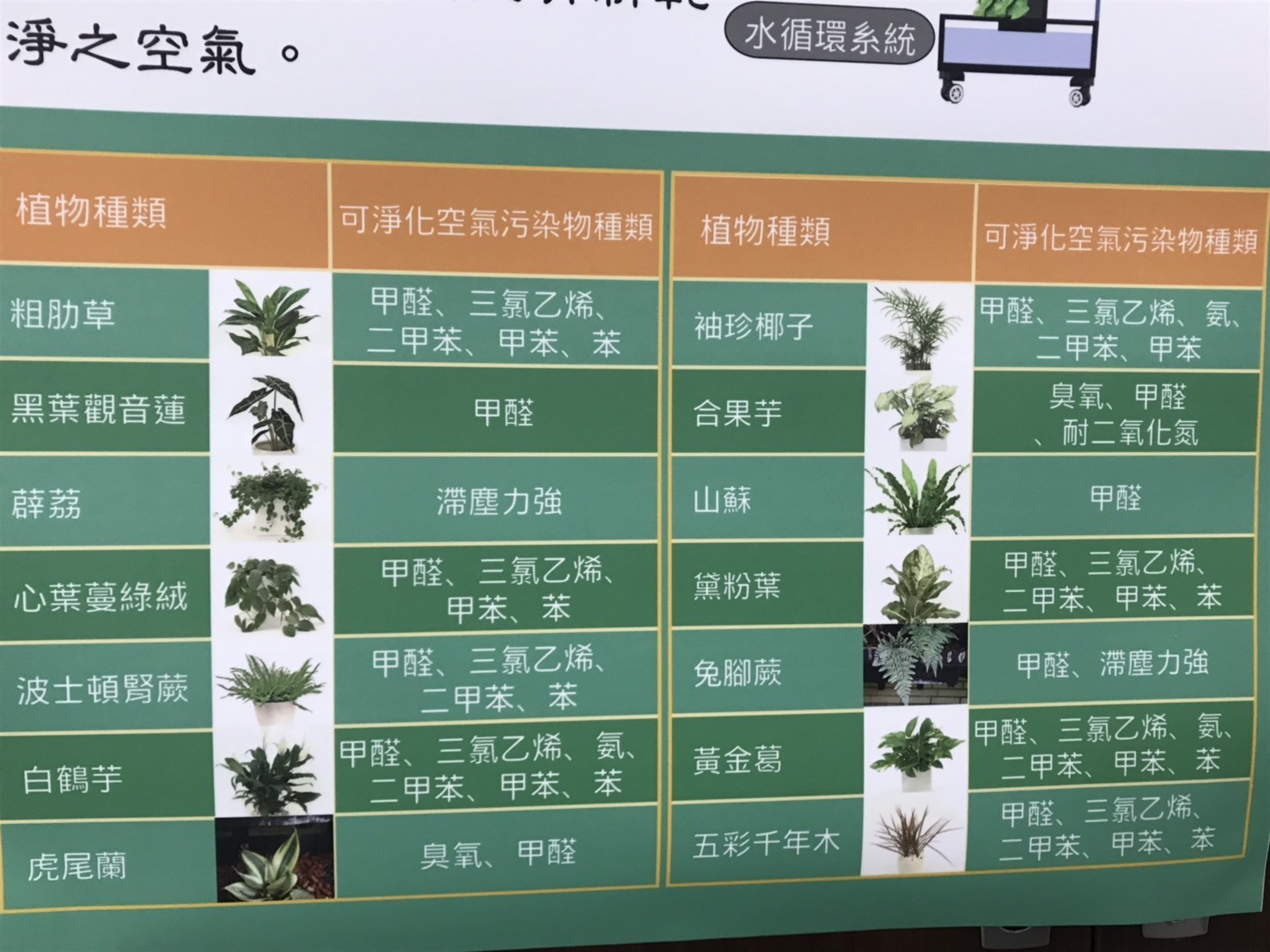 ▲▼綠牆模組,植物,盆栽,環保署空品處處長吳盛忠    。（圖／記者許展溢攝）