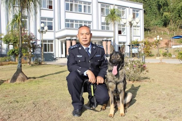 大陸複製警犬昆勳。（圖／翻攝自微博@希诺谷克隆工厂）