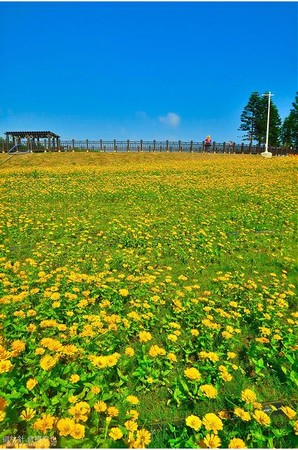 ▲▼特搜澎湖6個人不多的拍照好去處。（圖／迴紋針提供）