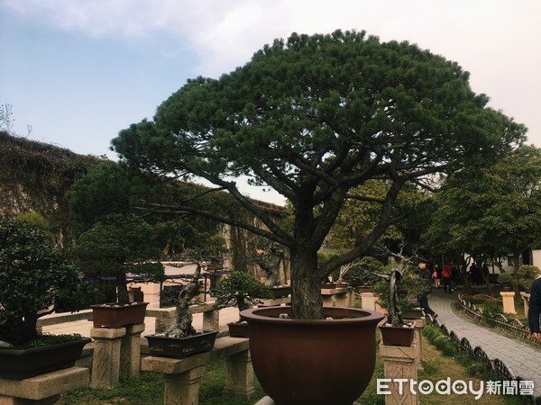 ▲▼蘇州博物館、拙政園。（圖／記者謝璩安攝）