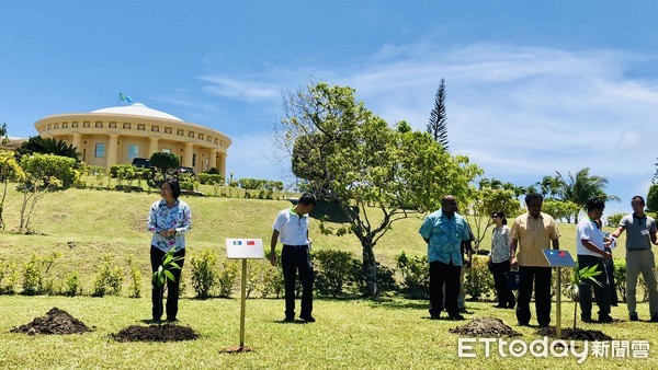 ▲▼總統蔡英文與帛琉總統一起種芒果樹。（圖／記者陶本和攝）