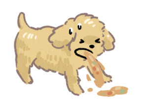 ▲▼狗狗過敏。（圖／毛起來提供）