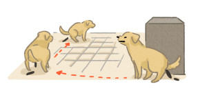 ▲▼狗狗過敏。（圖／毛起來提供）