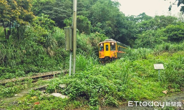 ▲ 騎車過鐵軌遭火車擦撞 懷7個月孕婦倒地奇蹟僅受輕傷。（圖／記者郭世賢翻攝）