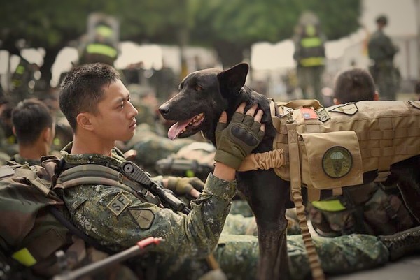 ▲ 浪浪險遭安樂死Hola變身特戰軍犬 「狗班長」昂首闊步500公里行軍。（圖／翻攝自「中華民國陸軍司令部」粉專）