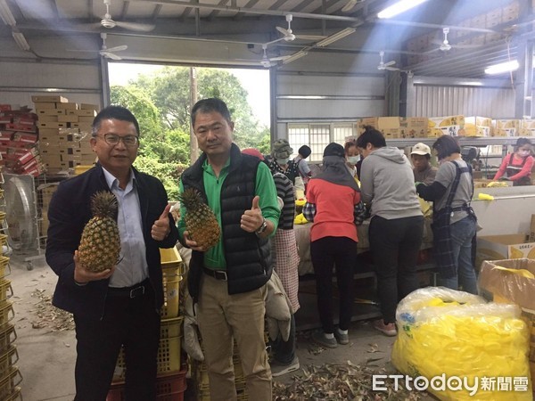 ▲▼ 張炎雄自產自銷鳳梨。（圖／記者陳崑福翻攝）