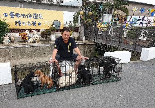 ▲半路被浪浪攔車認阿爸！。（圖／翻攝自徐文良（徐園長護生園））