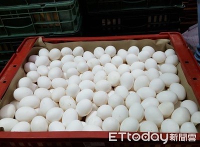 15萬顆毒雞蛋怕爆！婆媽狂問「市場散裝怎麼辦？」　資深菜販解答