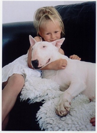 ▲▼             。（圖／毛起來提供）